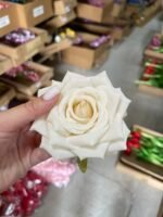 Троянда відкрита хрустка крем - Зображення 2