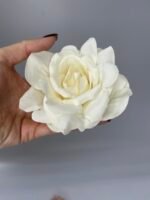 Троянда відкрита молочна - Зображення 2