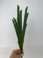 Листя до цимбідіума - Зображення 3