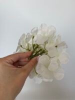 Гортензія  біла - Зображення 2