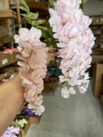 Гліцинія ніжно рожева - Зображення 3