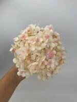 Гортензія преміум молочно рожева - Зображення 2