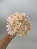 Гортензія преміум молочно рожева