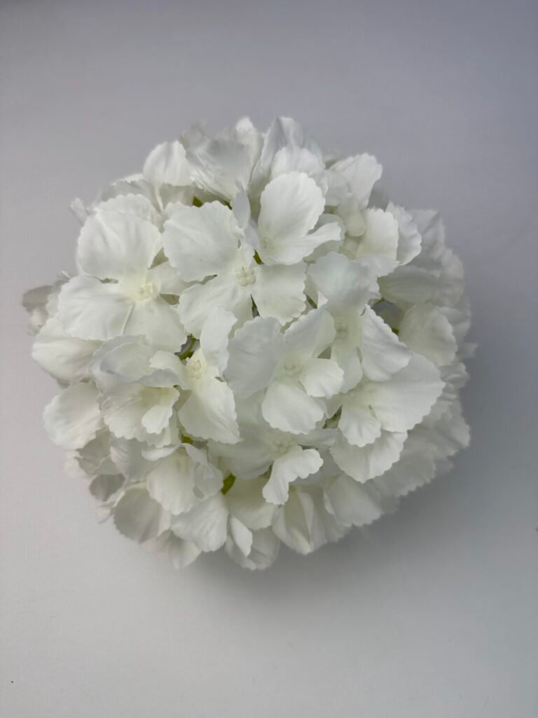 Головна img 6445