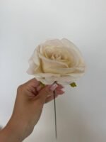 Троянда  бархат крем - Зображення 2