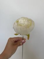 Піон стандарт молочний - Зображення 2