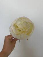 Піон стандарт молочний