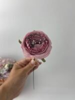 піон з декоративною серединкою фіолетовий