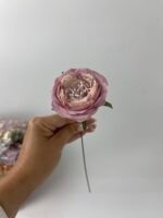 піон з декоративною серединкою пудра