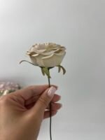 піон з декоративною серединкою беж - Зображення 2