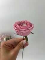 піон з декоративною серединкою рожева - Зображення 2