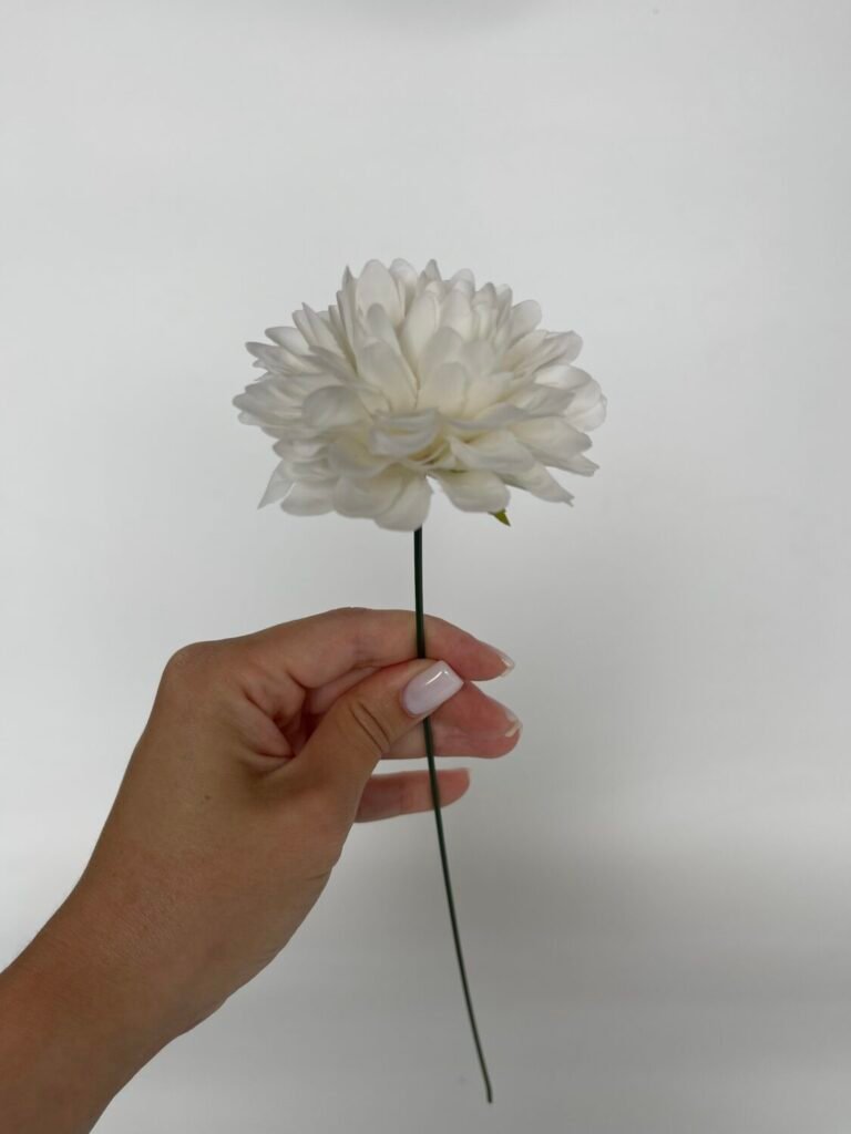 Головна img 7119