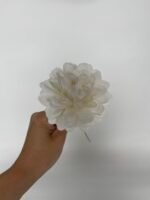 Жоржинка біла - Зображення 2