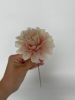 Жоржинка масляно-рожева - Зображення 2