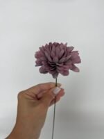 Жоржинка фіолетова - Зображення 2