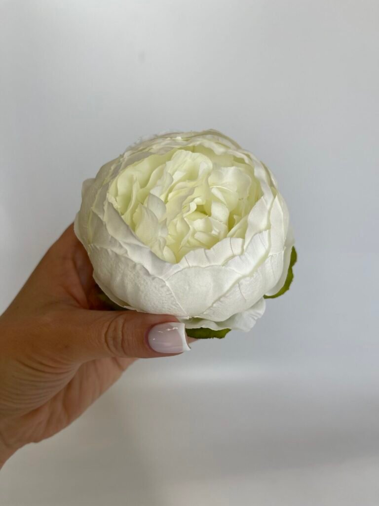 Головна img 7865