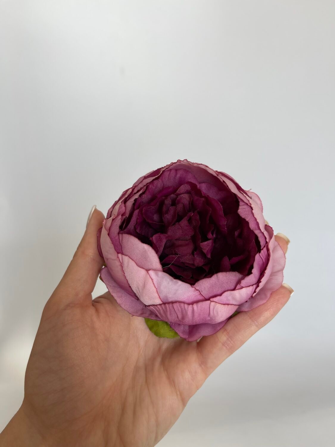 img_7867 Піон ст.Бордо - Зображення 1