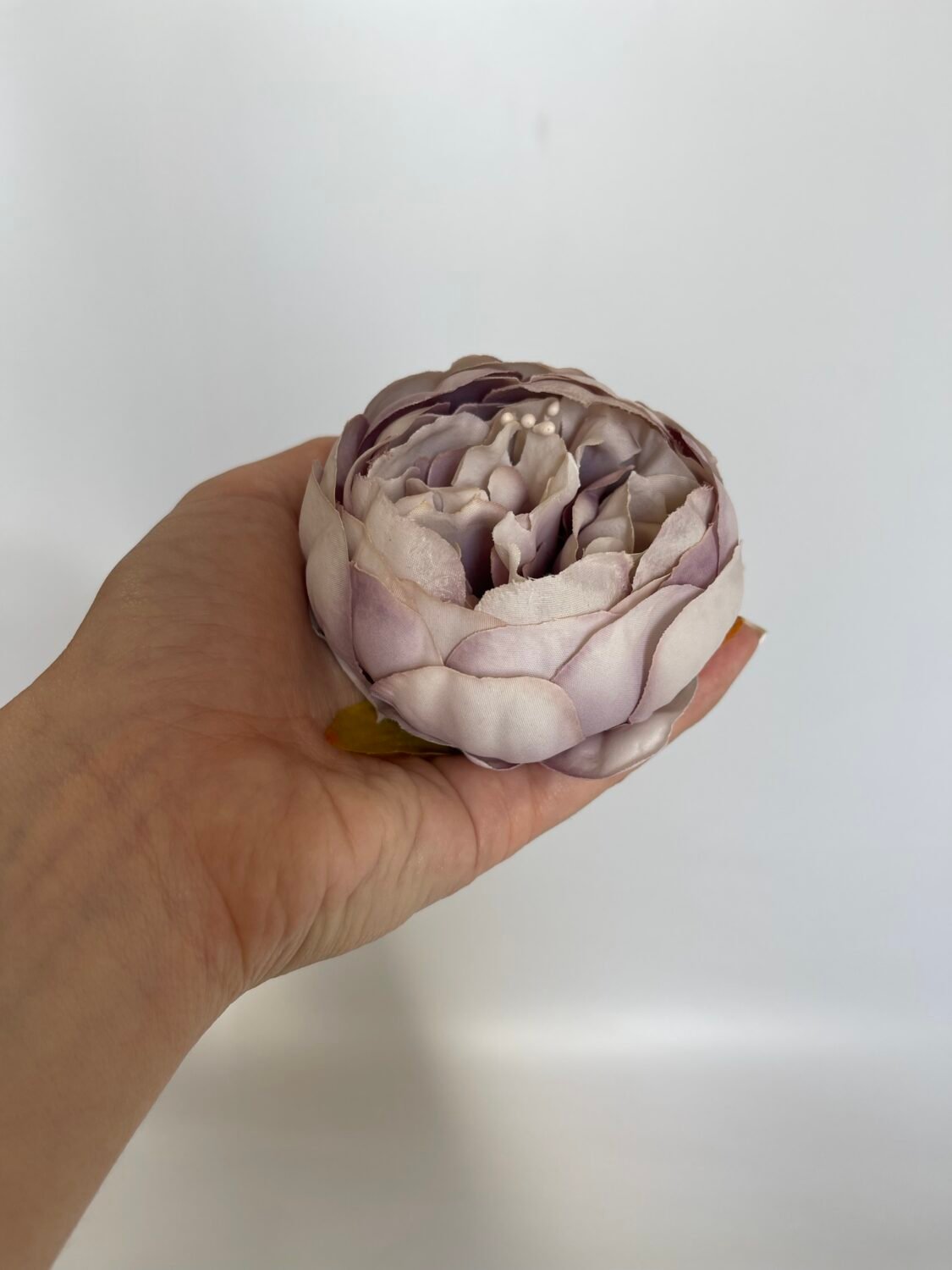 img_7883 Піон стандарт с.фіолет з фіо.кінч. - Зображення 1