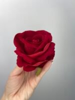 Троянда  бархат червона - Зображення 2