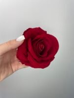 Троянда  бархат червона