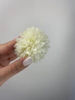 Жоржина пух айворі - Зображення 2