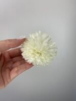 Жоржина пух айворі - Зображення 3