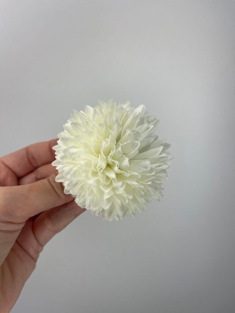 Головна img 8134