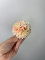 Жоржина пух масляно-рожевий - Зображення 2