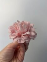 Жоржинка рожева - Зображення 4