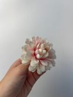 Жоржинка масляно-рожева - Зображення 3