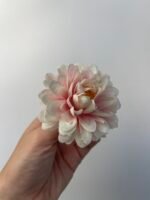 Жоржинка масляно-рожева