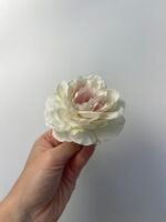 Піон декоративний молочний з рожевою серединкою - Зображення 2