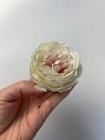 Піон декоративний молочний з рожевою серединкою