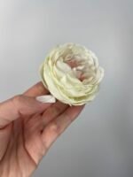 Піон декоративний молочний з рожевою серединкою - Зображення 3