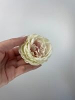 Піон декоративний молочний з рожевою серединкою - Зображення 4