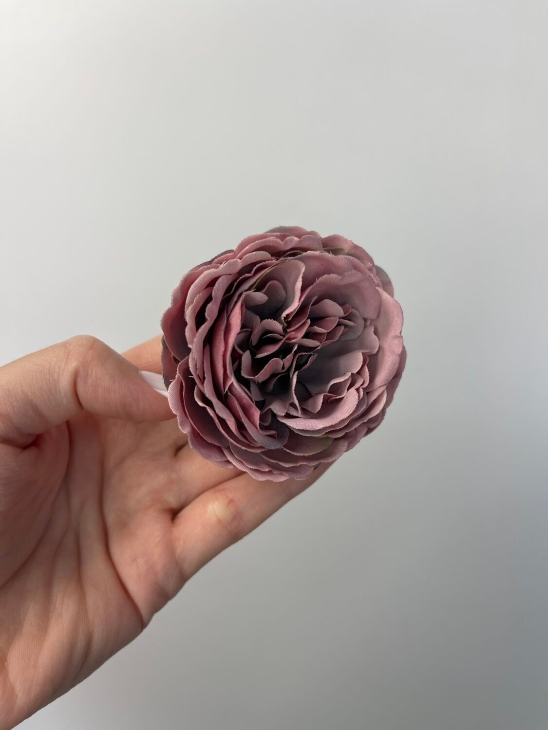 img_8171-2 Піон декоративний фіолетовий - Зображення 1