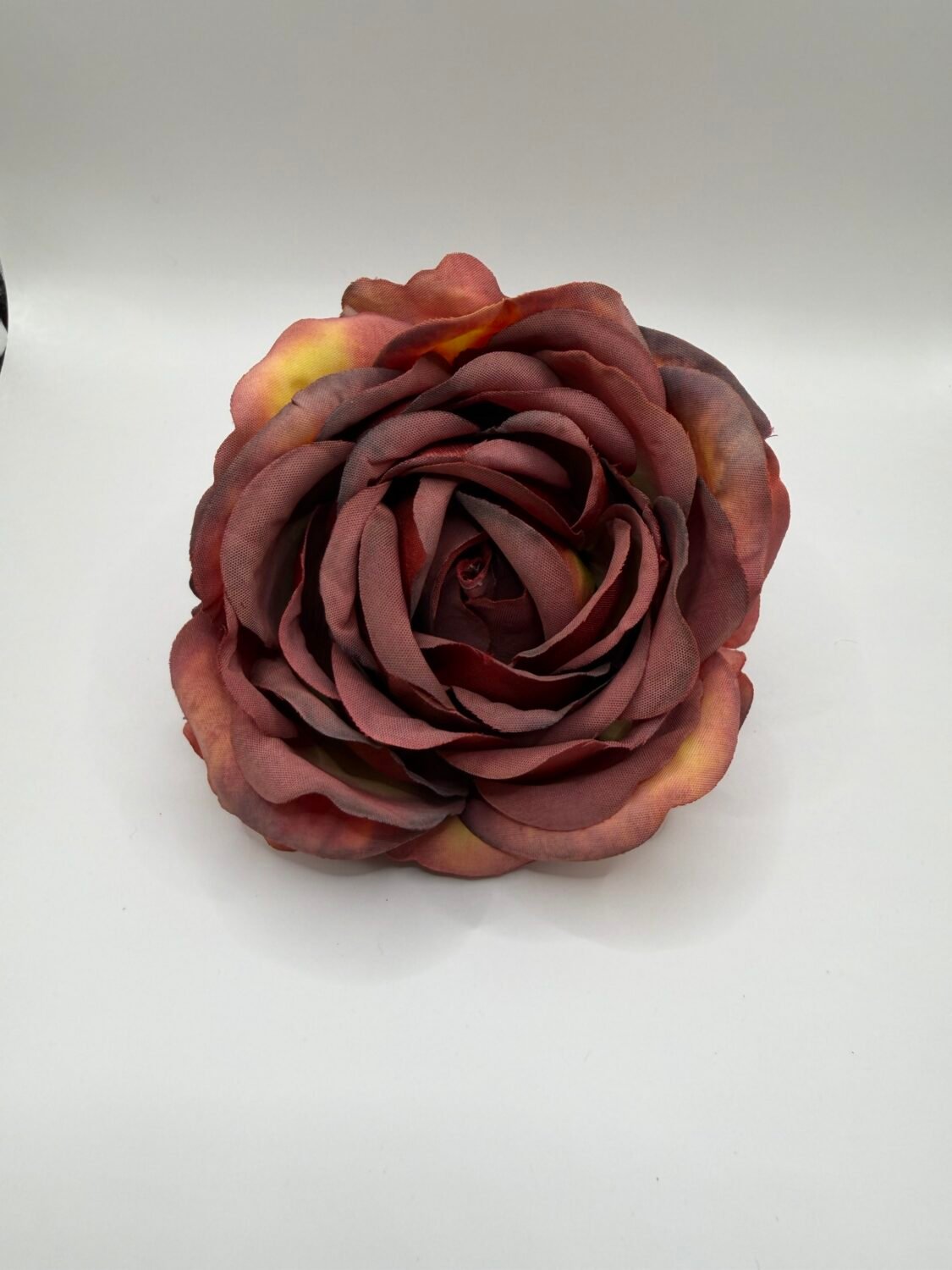 img_8175 Троянда VIP відкрита коричнева - Зображення 1