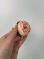 Піон малий персик - Зображення 2