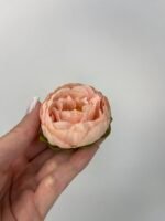 Піон малий персик - Зображення 3