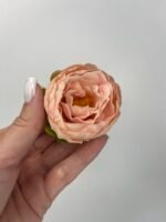 Піон малий персик