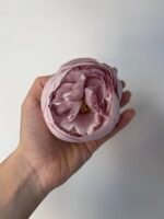 піон ст. світло фіолет