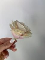 Еустома бутон масляно-фіолетова - Зображення 2