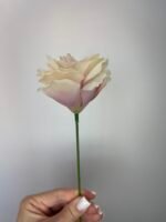 Еустома бутон масляно-фіолетова