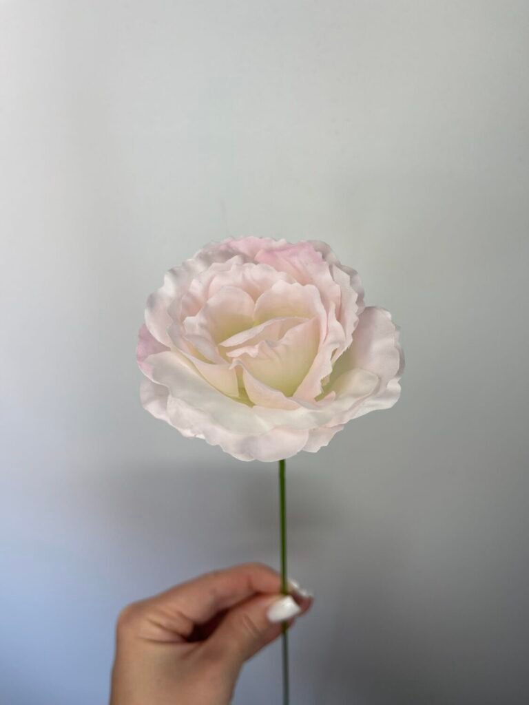 Головна img 8206 1