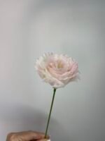 Еустома бутон світло рожева - Зображення 2