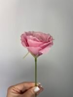 Еустома бутон рожева - Зображення 3