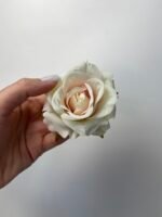 Троянда люкс маленька молочна з рожевою серединкою - Зображення 3