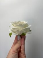 Троянда люкс маленька молочна з рожевою серединкою - Зображення 2