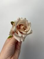 Троянда люкс маленька світло пудрова