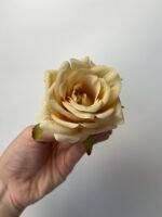 Троянда люкс маленька персикова